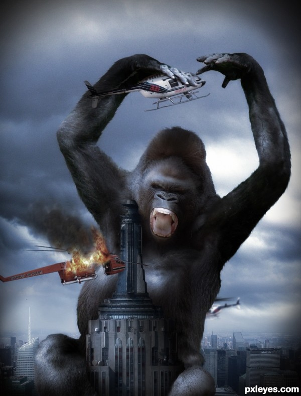 King Kong 2010 photoshop picture